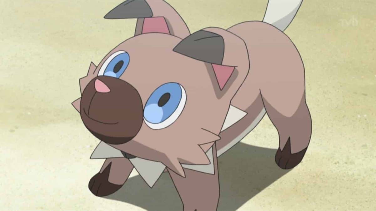 Pokémon Rockruff