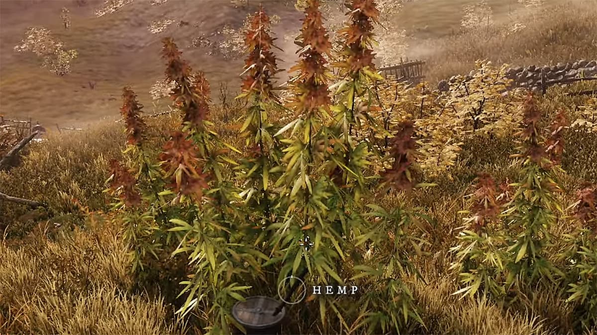 A screenshot of Hemp plants in New World