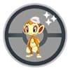 Chimchar wearing Dawn's hat