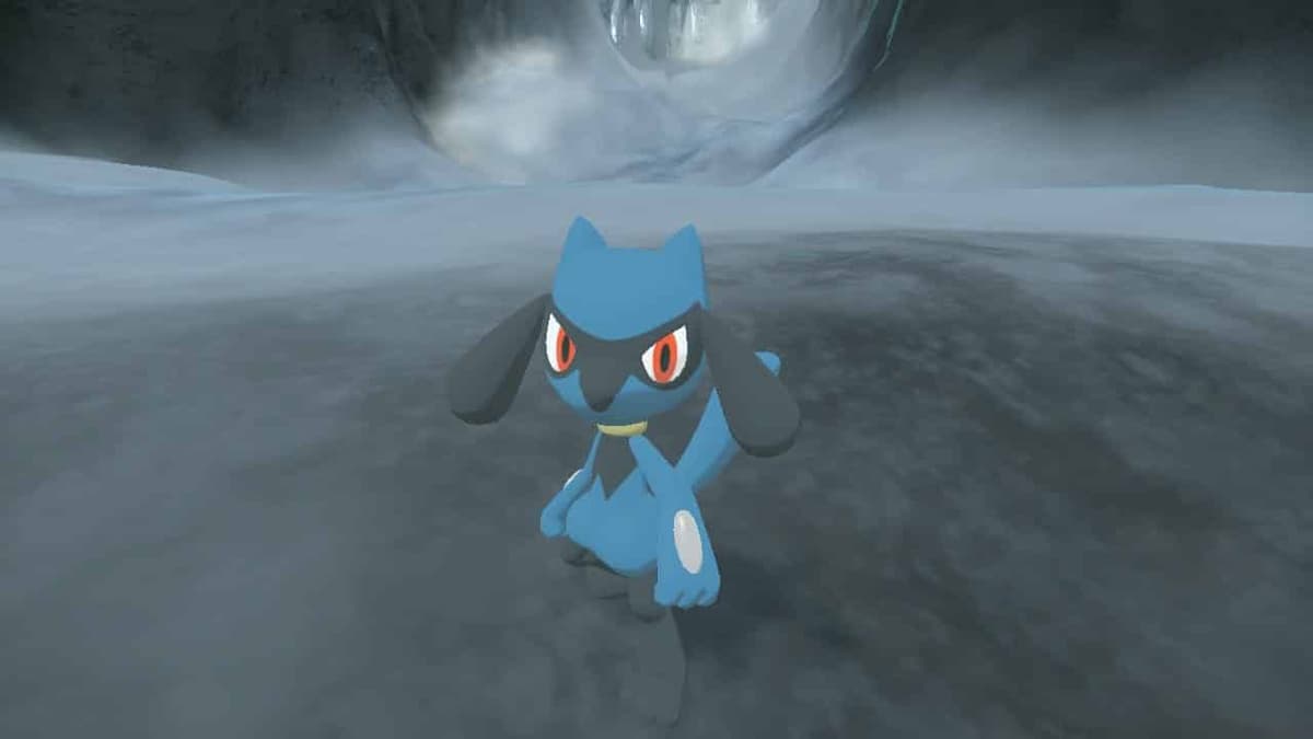 Captura de pantalla en primera persona de Pokémon Legends Arceus Riolu