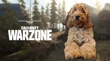 Perro jugando a Warzone