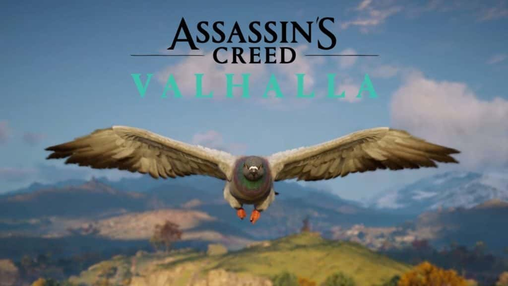 Paloma Assassin´s Creed Valhalla