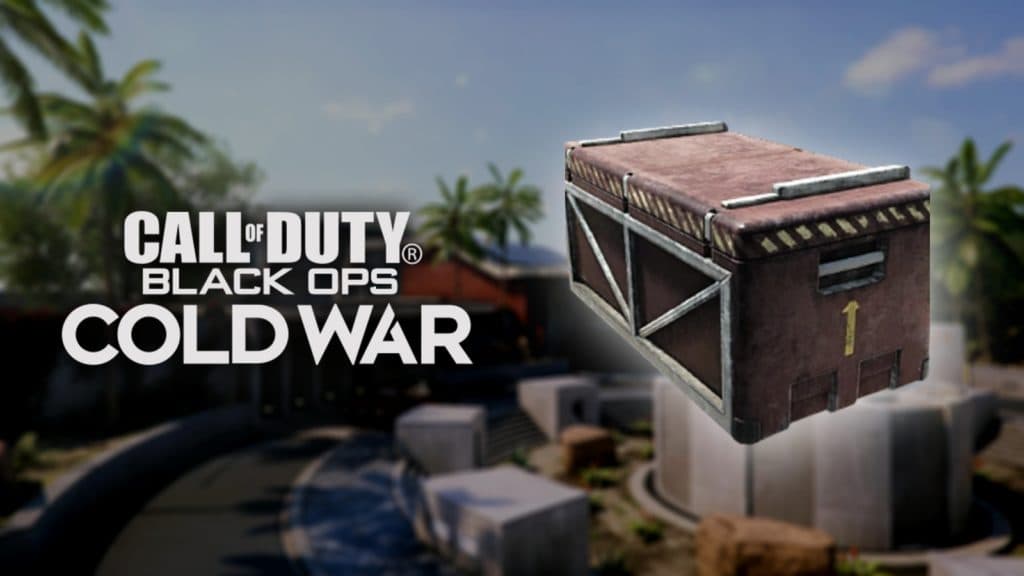 paquete de ayuda black ops cold war